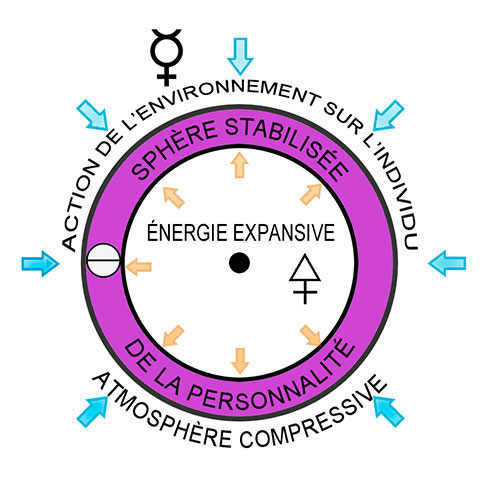 Les trois énergies présentes dans le cercle : centrifuge, centripète et le Logos