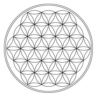 La Fleur de Vie - 37 cercles