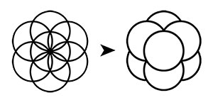 Évolution vers l'Œuf de Vie